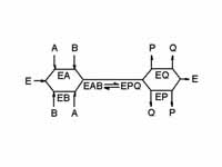 Random-order ternary-complex mechanis...