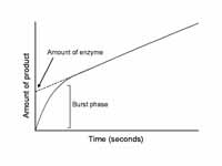 Pre-steady state progress curve, show...