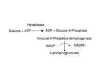 Coupled assay for hexokinase using gl...