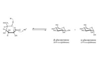 Formation of glucopyranose anomers.