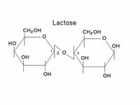 Lactose structure