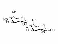 Maltose structure