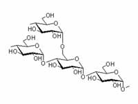 Structure of amylopectin