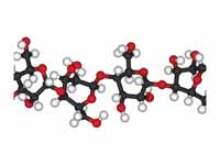 3-D Cellulose structure