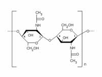 Chitin structure