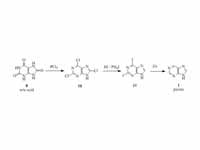 Fischer Purine Synthesis