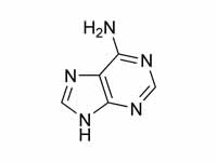 Adenine chemical structure