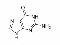 Guanine chemical structure