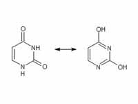 Uracil undergoes amide-iminol tautome...