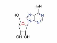 Adenosine chemical structure