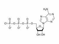 ATP chemical structure