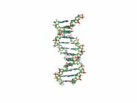 Animation of the structure of a secti...