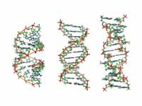 From left to right, the structures of...