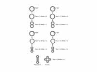 Supercoiled structure of circular DNA...