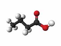 Butyric acid ball and stick