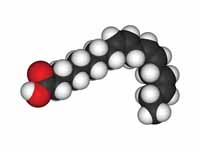 Linolenic acid space filling structure