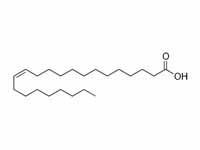 Erucic acid structure