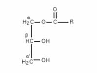 Monoglyceride structure