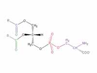 Structural formula of phosphatidyl se...