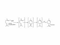 Limonene biosynthesis