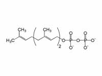 Chemical structure of farnesyl pyroph...