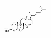 Cholesterol structure