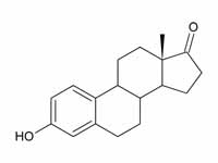 Estrone structure