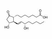 A prostaglandin - Alprostadil