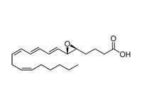 Leukotriene A4