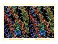 Conformational change with Bacteriorh...