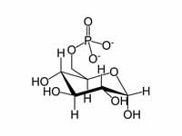 Glucose-6-phosphate