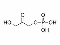 Dihydroxyacetone phosphate