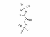  1,3-Bisphosphoglycerate  