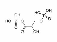 1,3-Bisphosphoglycerate