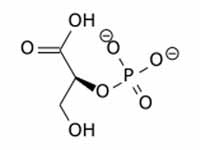  2-Phosphoglycerate  