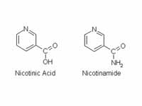 The human body synthesizes NAD from n...