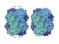 Bacterial Phosphofructokinase: 3rd gl...