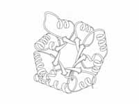 Triosephosphate isomerase 1