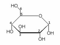 Glucose structure with numbered carbons