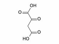 Oxaloacetate