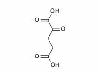  ?-Ketoglutarate  