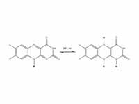 Redox equilibrium between FAD and FADH2