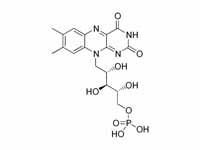 Flavin mononucleotide