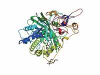 Ribbon diagram of electron-transferri...