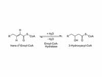 2nd step of beta oxidation