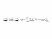 Oxidative phase of pentose phosphate ...