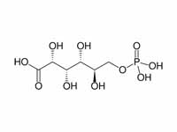 6-Phosphogluconate