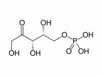 Xylulose 5-phosphate