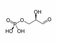 Glyceraldehyde 3-phosphate