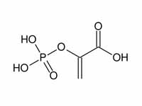 Phosphoenolpyruvic acid